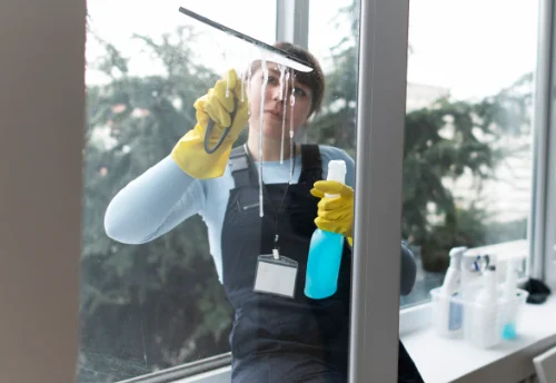 Nettoyage de vitres intérieures et extérieures à Saint-Martin-en-Haut